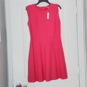 NWT LOFT dress